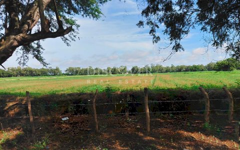  Agricultural property for sale/for rent in Malacatoya 