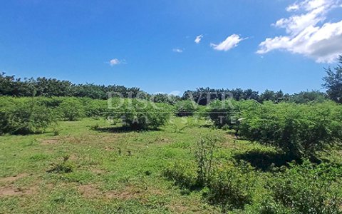 Agricultural property with aquaculture potential for sale on the shores of Lake Managua 