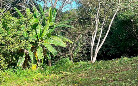  Lots for sale in Santo Domingo 