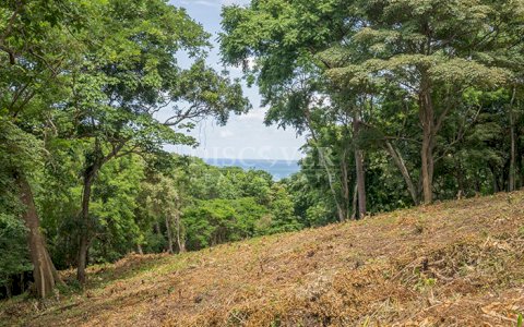 Beach lot for sale in Rancho Santana