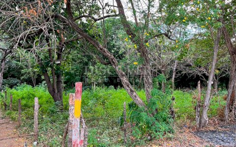 Large plot of land for sale in Rivas