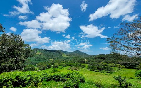  Agricultural land for sale in Jinotega