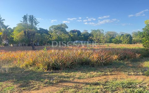  Land for sale on the road to Masaya