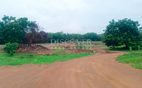 Land for sale in Pista Sabana Grande