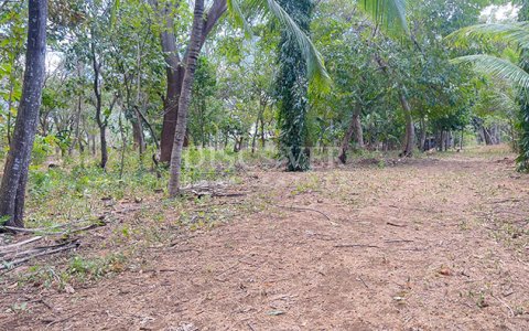 Land for sale in Diriá with high investment potential