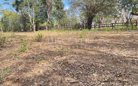 Flat land for sale in Diriá