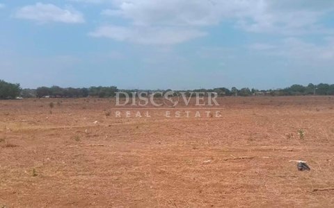  Land for sale in Pista Sabana Grande