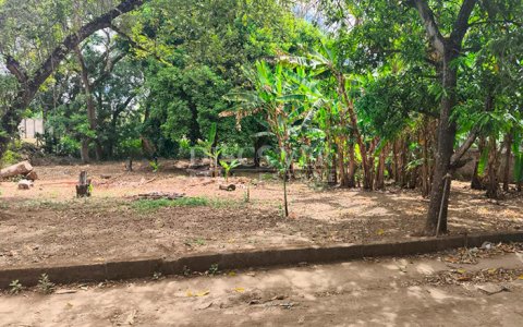 Land for sale on the Masaya Highway