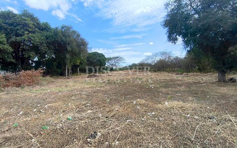  Land for Rent in El Mayoreo