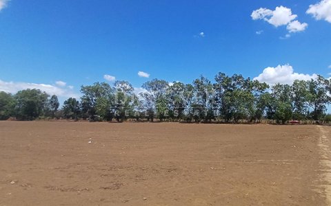 High-value land for sale in Sabana Grande