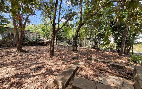 Land for sale in San Isidro de Bolas