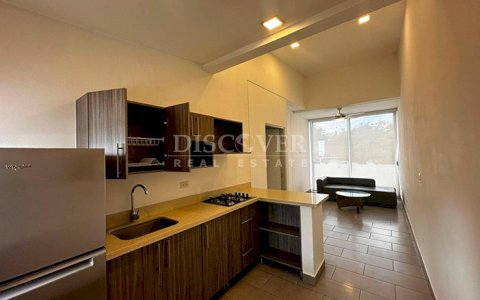  Furnished apartment for rent on Carretera Sur