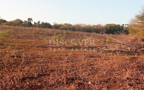 Farm with high development potential for sale on the Masaya Highway