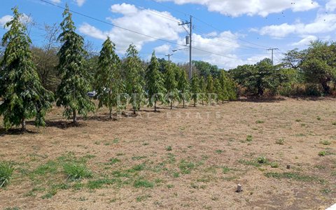 Residential and commercial lots for sale in Veracruz