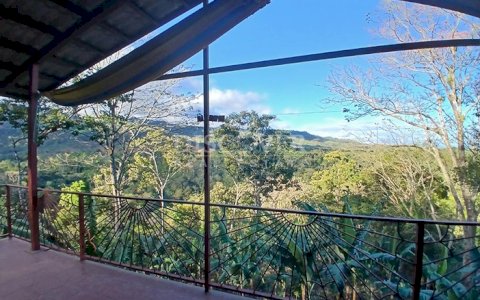Coffee farm for sale in Matagalpa 
