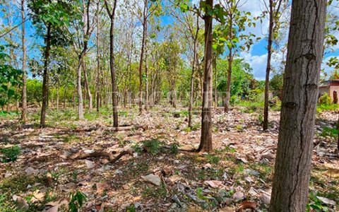 Land for sale in Pista Sabana Grande