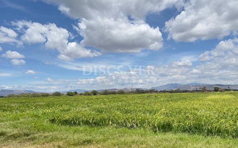  Agricultural and industrial property for sale in Sébaco - Matagalpa
