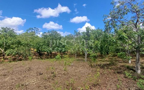 Farm with active production for sale in Masatepe