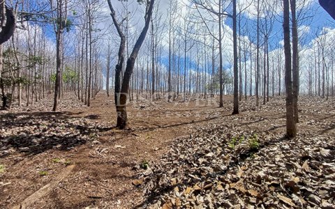 Lots for sale in Jinotepe - Carazo