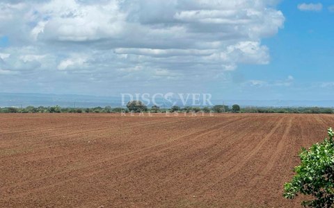  Land for sale on the Coyotepe-Tipitapa Highway