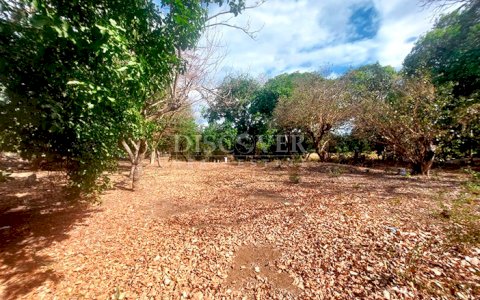  Land for sale in Las Colinas