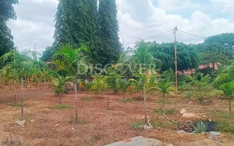  Land for rent across from the Masaya Highway