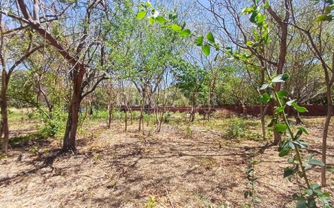 Land for sale on t Carretera Vieja a León