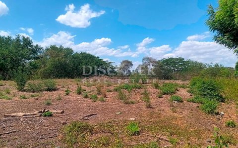Land for sale on Carretera Nueva a Leon