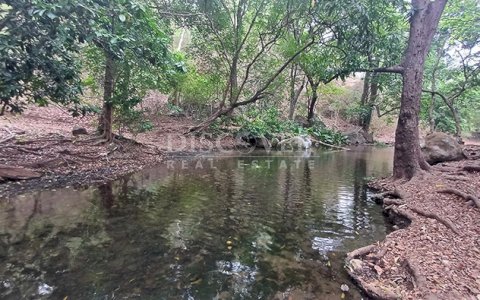  Farm with excellent natural resources for sale in Jinotepe