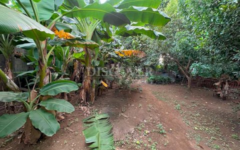 Spacious lot with a warehouse for sale in León
