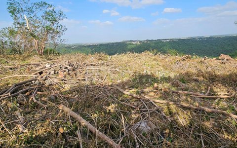  Land for Sale on the Carretera Vieja a León