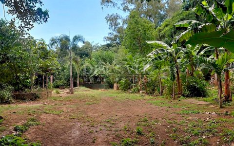  Land for sale on the Old Road to León