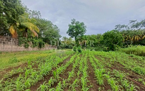 Land for Sale on the Road to Masaya