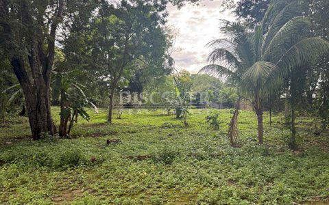  Land for sale along a highway in Masaya