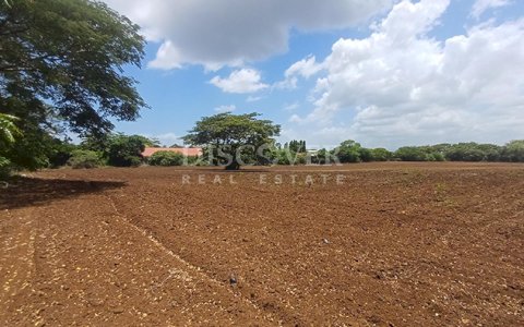  14.3-Manzana Land for Sale Fronting the New Masaya–Tipitapa Highway (11.5 Mz & 2.8 Mz Lots)