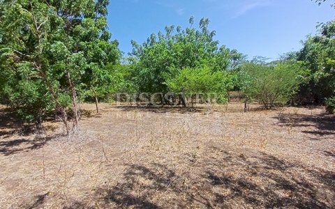  Farm for Sale in Mateare