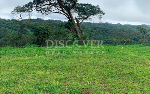 Lots for Sale in El Crucero - Cool Climate Area