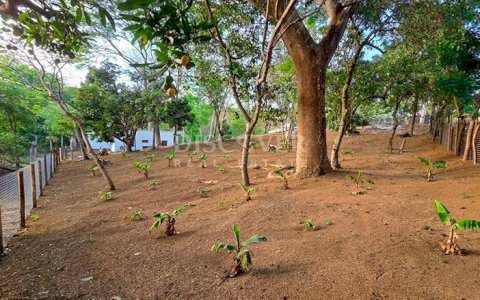  Lots and House for Sale in Santo Domingo