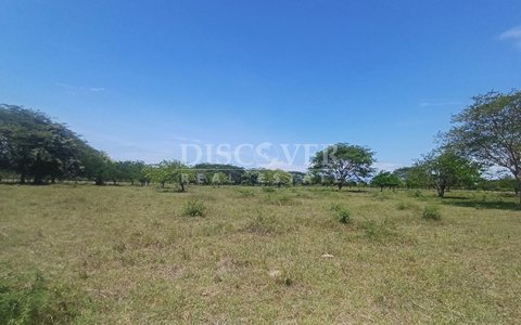 Agro-industrial farm for sale, located along the highway in Rivas