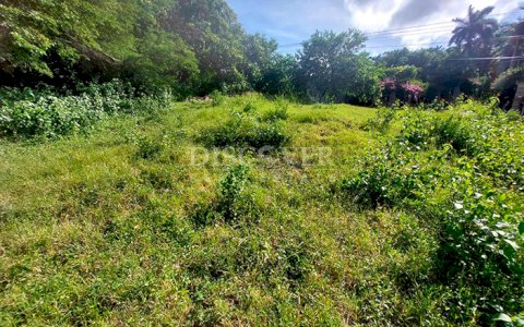  Land for sale opposite the highway in Santo Domingo