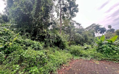  Land for sale in Villa Fontana