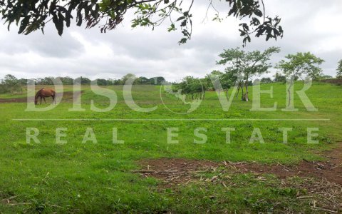 Flat Rural Lot for Sale in The Peace - Carazo ID 9010