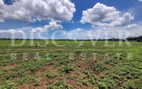 Land for sale in Cofradía 77 blocks Totally flat.