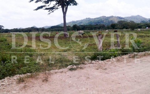 Land for Sale located in Tola.