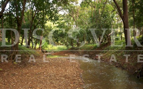  Beach lot for sale in Tola.