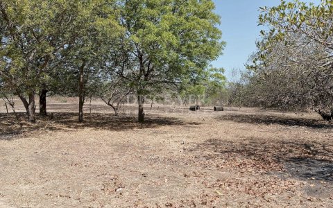 Oceanfront land for sale - La Boquita