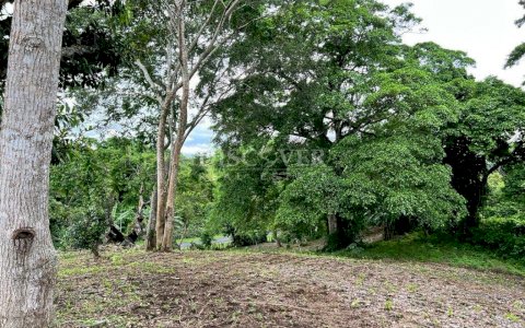  Land for sale on the San Marcos-Jinotepe Road