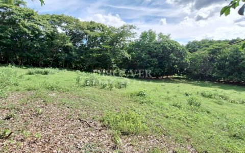  Land for sale in Jocote Dulce.