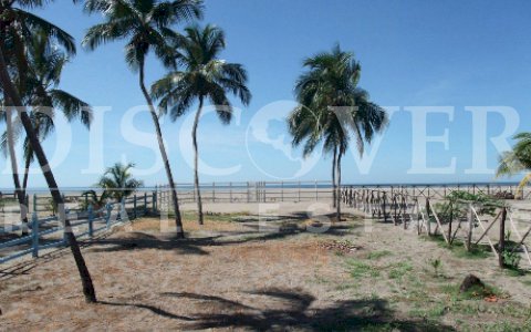 Beach Lot for Sale in Poneloya ID 4059