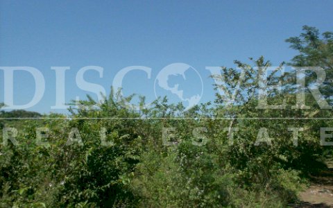  Farm for Sale in Poneloya.